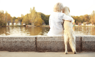 HP Nicole Minke .  Aktuelles : Frau sitzt auf einer Mauer und schaut auf einen See und umarmt ihren Hund.