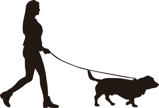 Über-Mich-Seite . HP Nicole Minke: Silhouette von einer Frau die mit ihrem Hund an der Leine spazieren geht